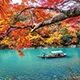九博体育