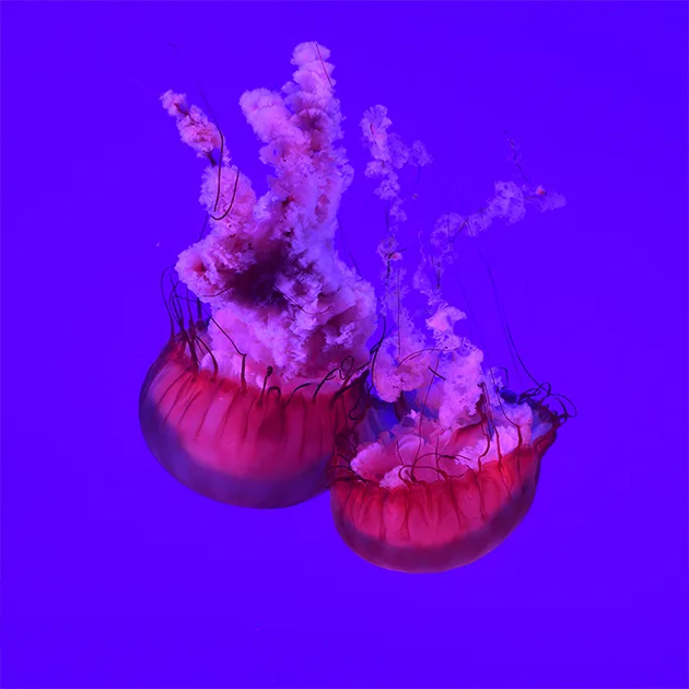 九博体育